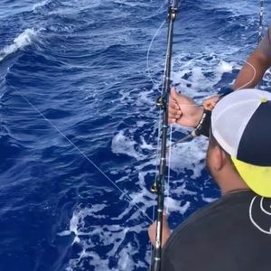 Meet your Posher, Isaiah